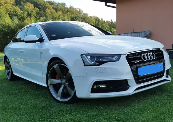 audi a5 podkarpackie Audi A5 cena 72000 przebieg: 260000, rok produkcji 2014 z Błażowa